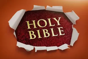 BS 204 New Testament Survey Part 2